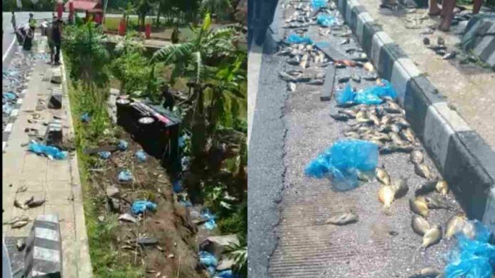 Mobil Pikap Terjun ke Parit