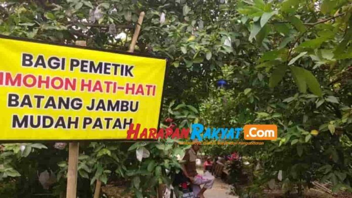 Kawasan Agrowisata