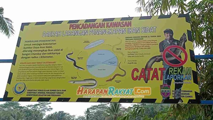 Ciamis Masuk Daerah Pelarangan Penangkapan Ikan Sidat oleh KKP