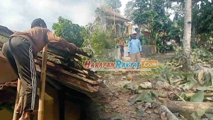 Diterpa Hujan dan Angin Kencang, Pohon Tumbang Timpa Puluhan Rumah Warga di Pangandaran