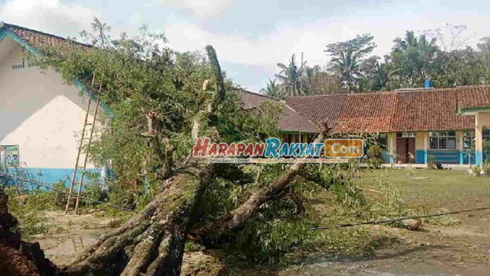 Dua Sekolah di Pangandaran Tertimpa Pohon Tumbang dalam Semalam