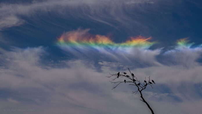 Fenomena Cloud Iridescence, Pelangi Topi di Atas Awan
