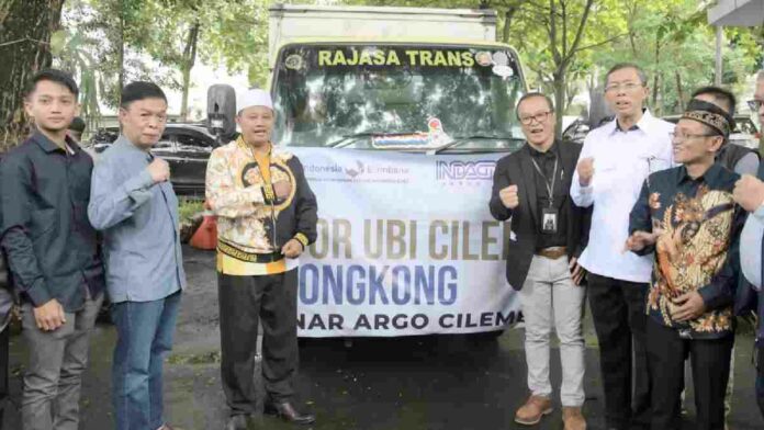 Ubi Cilembu Asal Sumedang