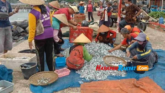 Ikan Layang