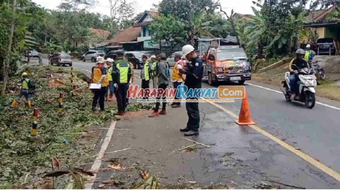 Jalan Nasional di Pangandaran Ambles dan Retak