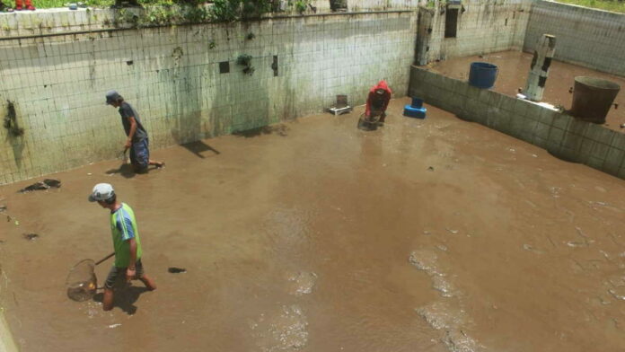 Ketua PPC Sesalkan Kolam Ikan Koi di Tirta Winaya Ciamis Tak Terurus