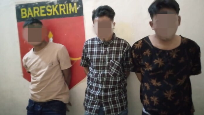 Komplotan Maling Domba