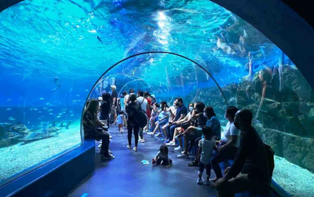 Objek Wisata Manila Ocean Park Filipina