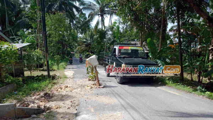 Protes Jalan Berlubang, Warga Parigi Pangandaran Tanam Pohon Pisang
