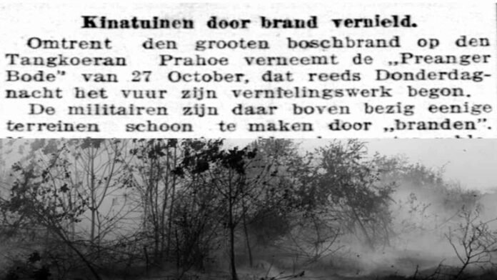 Kebakaran Hutan di Tangkuban Perahu 1914