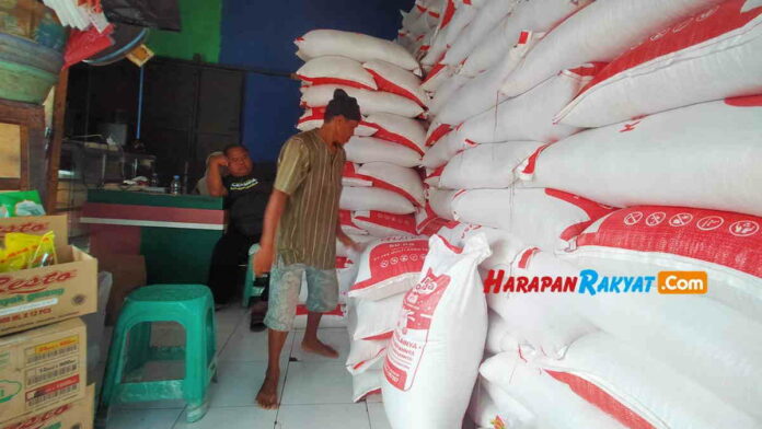 harga kedelai
