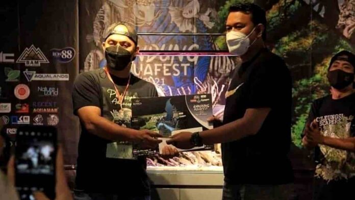Scaper Terbaik