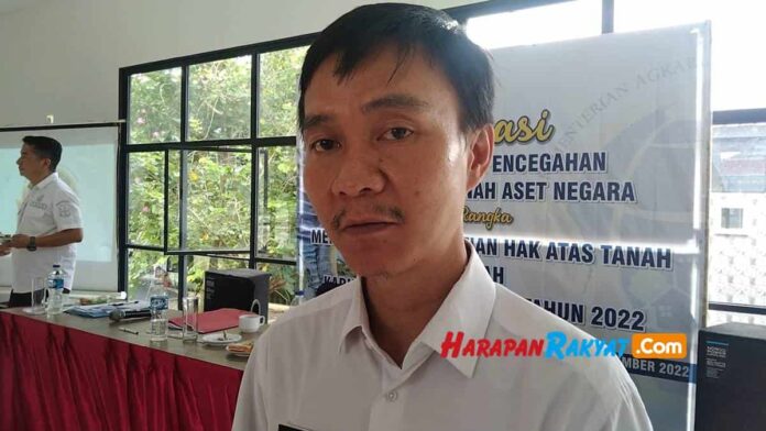 Aset negara
