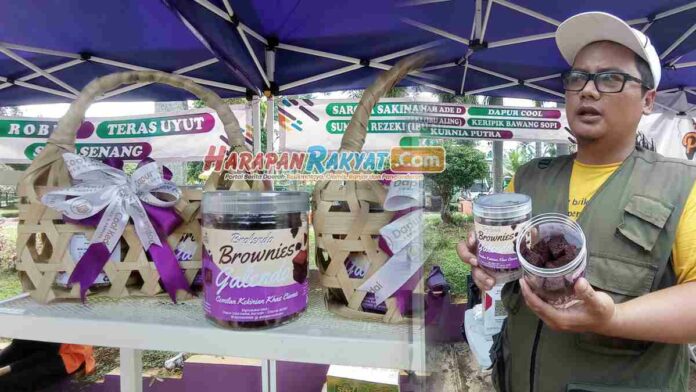 Brownies Galendo Oleh-oleh Khas Ciamis