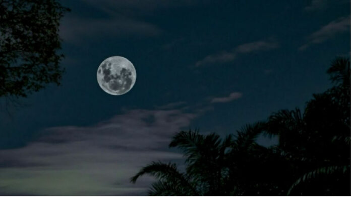Cara Membuat Moon Phase TikTok Wallpaper Sesuai Tanggal Lahir