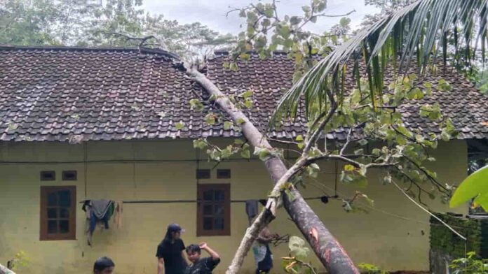 Disapu Hujan Angin