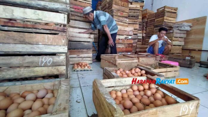 Harga Kebutuhan Pokok Terbaru
