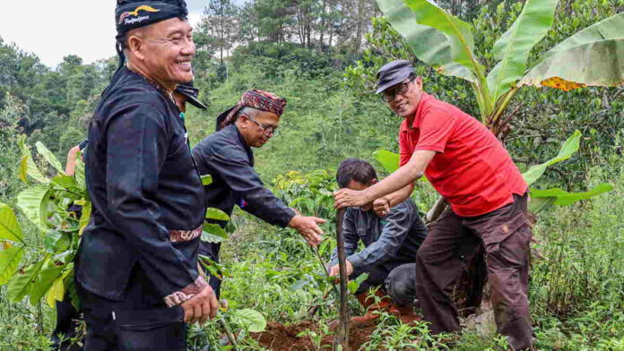 Tanam Pohon di Sukamantri Ciamis, Nanang Permana Ajak Masyarakat Pelihara Ekosistem Alam
