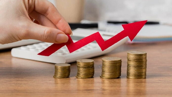 Net Profit Margin, Pengertian Lengkap dengan Fungsinya