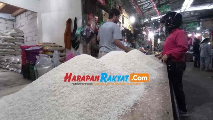 Harga Daging Ayam