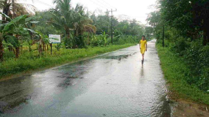 Sistem Drainase Tak Berfungsi, Jalan Raya Parigi-Cintaratu Pangandaran Banjir Cileuncang