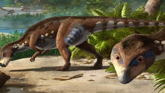 Spesies Baru Dinosaurus Herbivora Ditemukan oleh Para Ahli