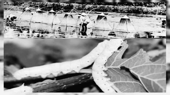 Wabah Malaria Tahun 1963