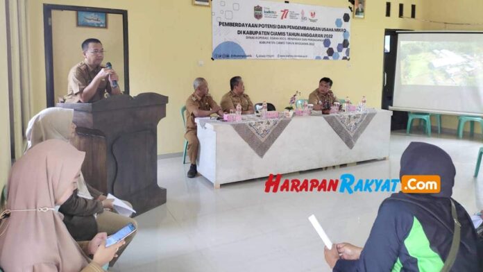 Pengembangan usaha mikro