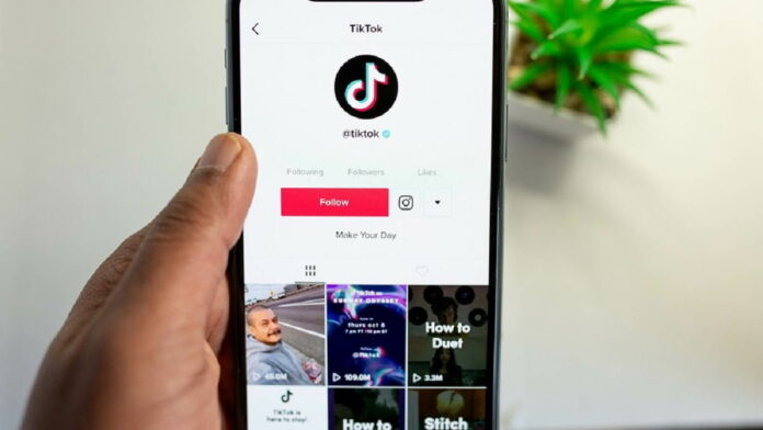 Cara Cek Penghasilan TikTok Melalui Website dan Aplikasi
