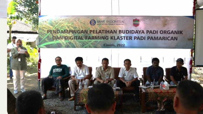 Digital Farming di Ciamis Permudah Petani Jalankan Usaha Tani