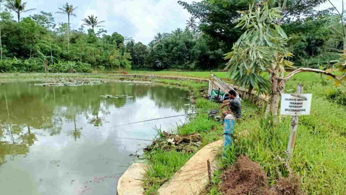 Dulu Jadi Lokasi Favorit Pemancing, Kini Situ Cimonteng Ciamis Sepi Pengunjung