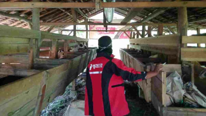 Kampung Domba