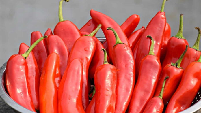 Harga Cabe dan Sayuran Naik