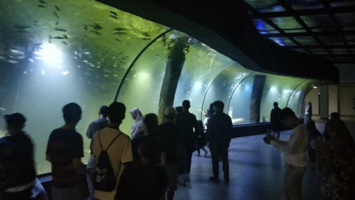 Ini Kelebihan Aquarium Indonesia yang Ada di Pangandaran, Wisatawan Wajib Berkunjung
