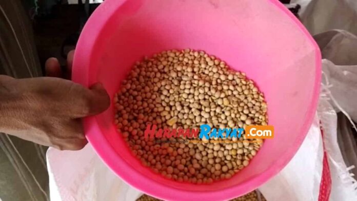 Penyimpangan Kedelai Subsidi
