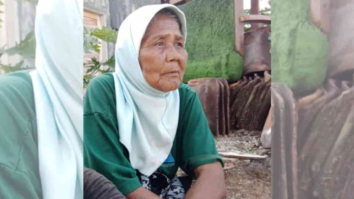 Nenek Hilang