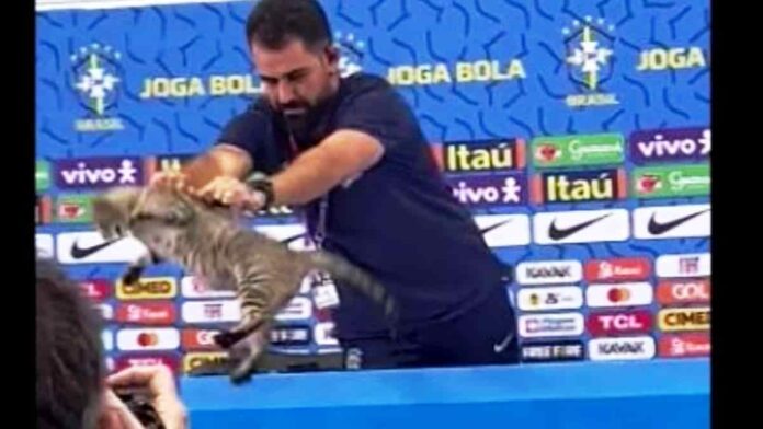 Brasil Tersingkir dari Piala Dunia