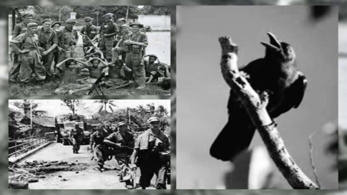 Operasi Gagak Belanda 1948