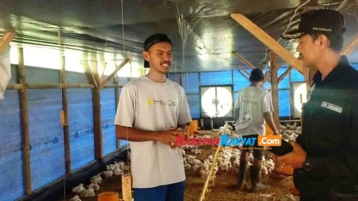 Daging Ayam Potong