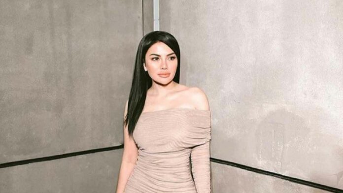 Profil Nikita Mirzani, Artis yang Terkenal Kontroversial