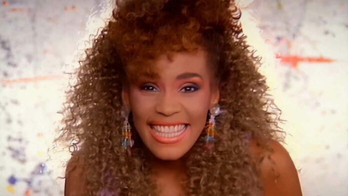 Sinopsis I Wanna Dance with Somebody, Biografi Whitney Houston