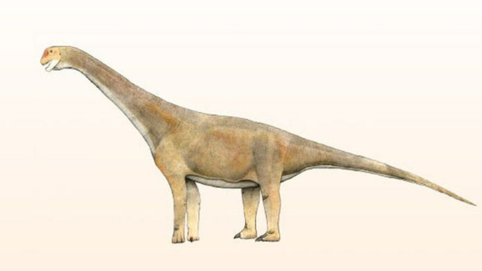 Spesies Baru Dinosaurus Ruixinia Zhangi Berleher Panjang