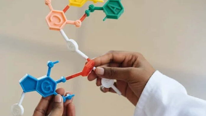 Struktur Ikatan Peptida, Sifat, dan Fungsinya, Yuk Simak di Sini!