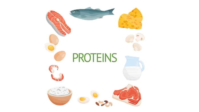 Struktur Protein Primer dan Contohnya, Cari Tahu di Sini!
