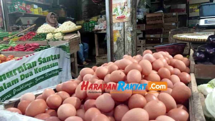 Harga Telur Ayam