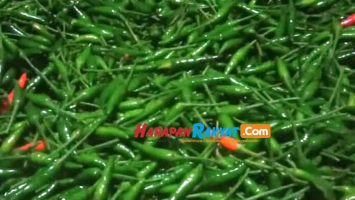 Harga Jual Cabe Rawit