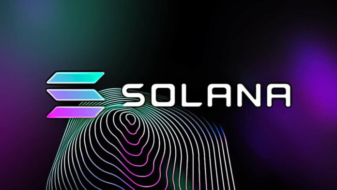 Crypto Berbasis Solana Mencapai Puncak Tertinggi karena BONK