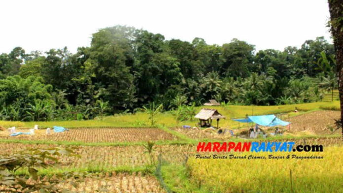 Hutan Larangan di Ciamis