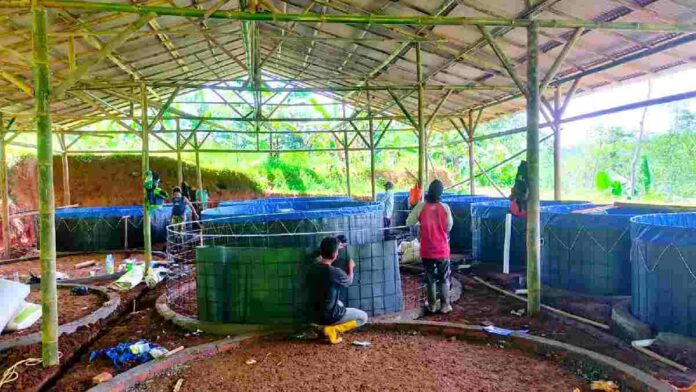 Kolam ikan bioflok