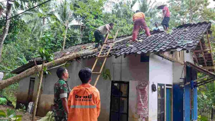 Pohon timpa rumah